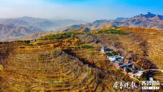 初冬的南山，景色美柿子甜