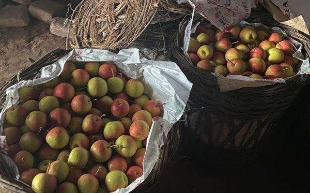  【家里】个个都是好果子，全部堆在家里没销路，果农：工钱都还
