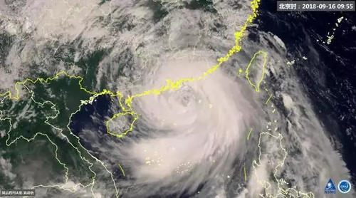 什么？！这些关于“山竹”的说法竟是谣言