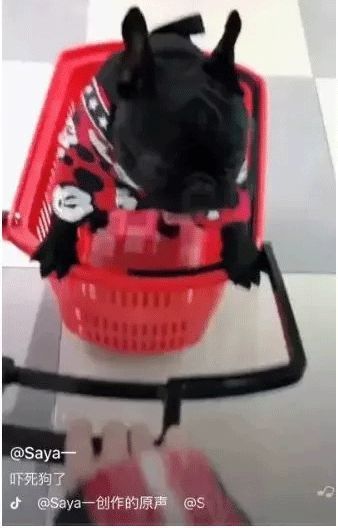 330W网红殴打孕妇致早产，刷爆朋友圈，你缺的不是流量而是骨子里