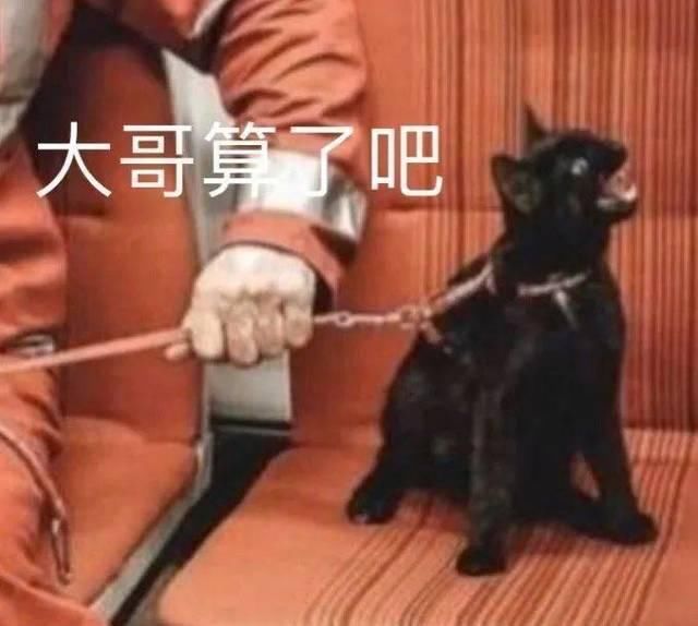  买到■淘宝回头率爆高的凉鞋! 50块就能买到大大的快乐！
