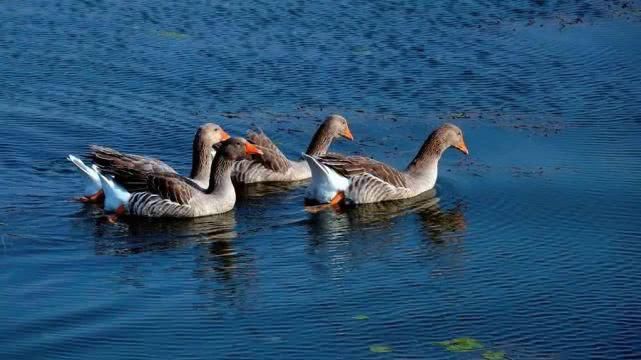  #美景#人文|荔波小七孔美景大盘点·一