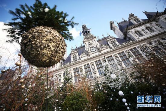 巴黎：市政厅前的圣诞“树林”