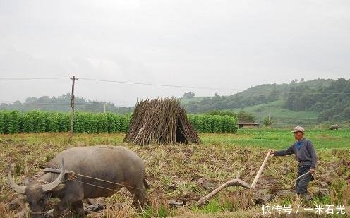 户口不在农村，上辈留下的土地和宅基地，还可以继承吗答案来了