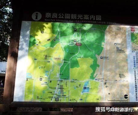  「祈福的灯笼」DAY2日本深度自由行之大阪都门奈良城崎旅行日记