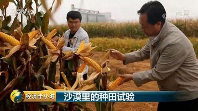 中国“催泪”的沙漠，600多万亩黄沙，如今拿来种土豆