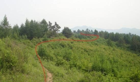  【龙脉】皇帝听说此地有龙脉, 担忧江山不稳, 此人打了口井, 说 皇帝放心