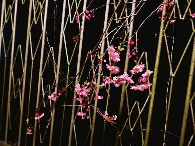  「暗夜」暗夜幽灯下的迷醉