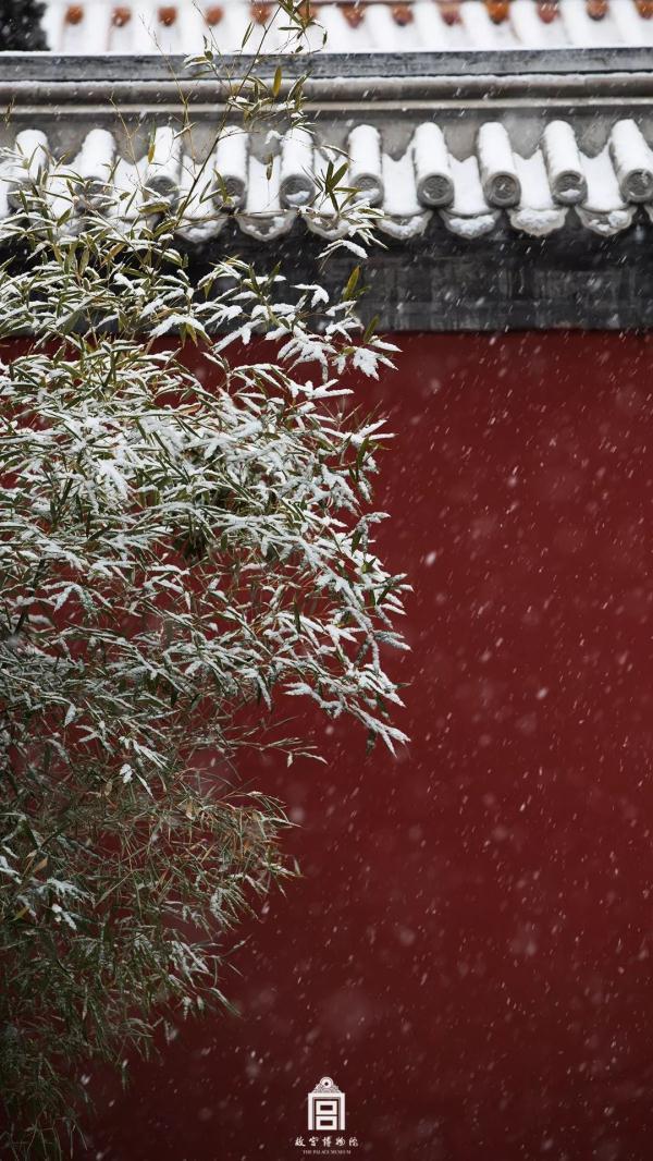 这就是雪中的故宫！