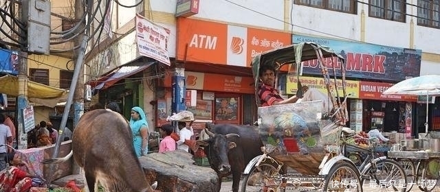 大家都说印度脏乱差中国游客过去亲眼一看妈呀，果然是真的！