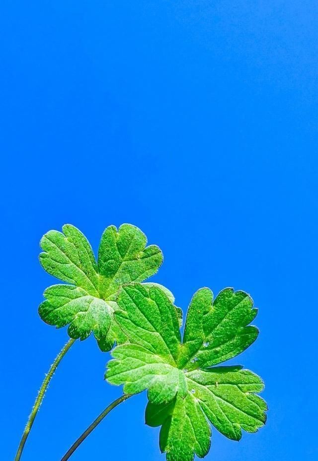 充满|超棒的清晨励志句子，充满阳光的早安心语，送给热爱生活的你