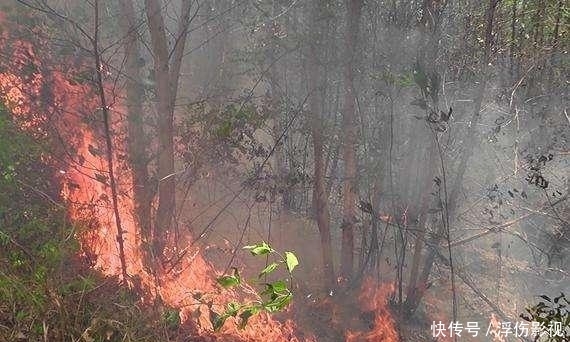 澳大利亚发生火灾的地方