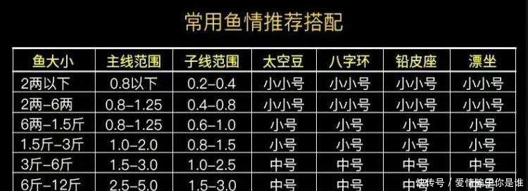 浅水:浅水钓鲫鱼,为啥容易跑鱼?因为这5个地方你搞错了