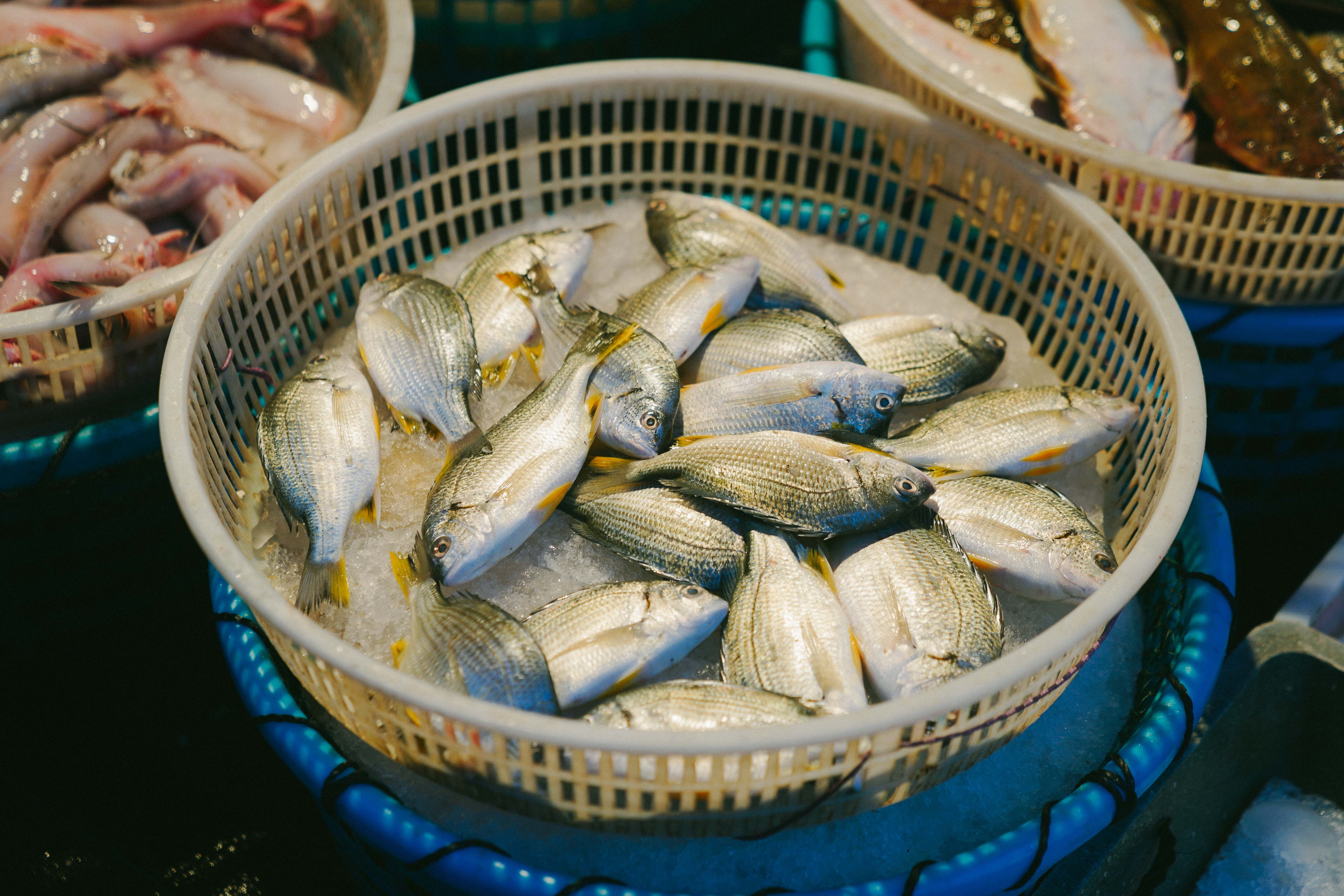  【沃尔沃X旅行家】全厦门最潮英迪格酒店，带你发现厦门另一面