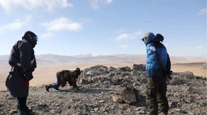 为啥西藏500公里的无人区千万不要去? 看看里面有什么, 太可怕