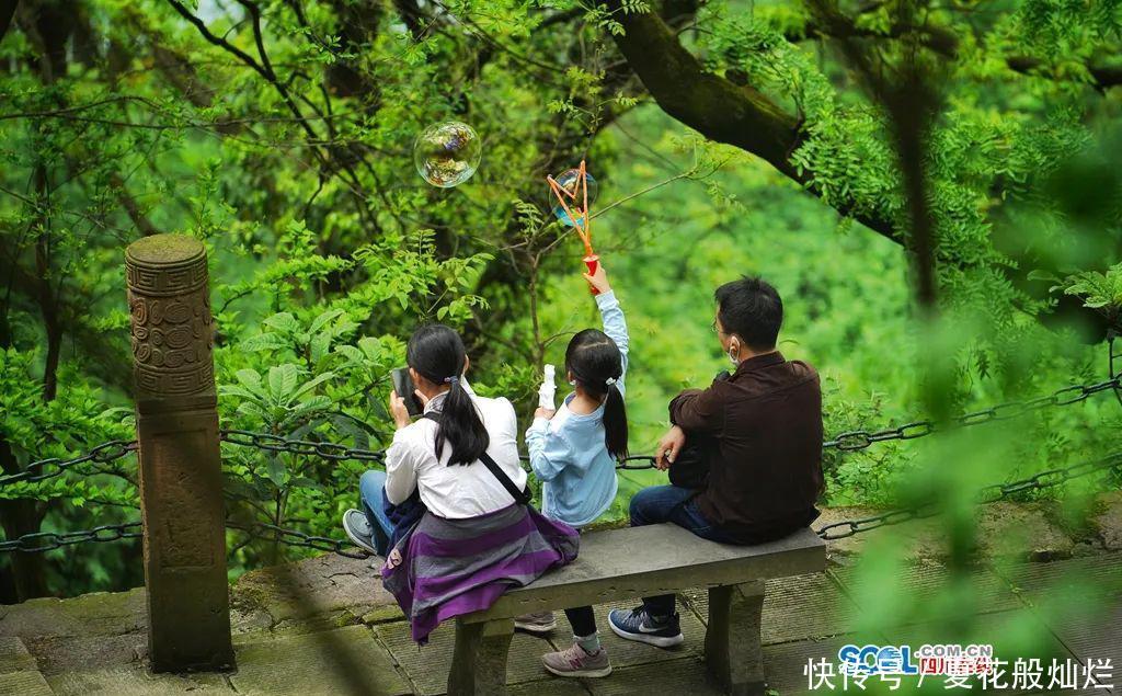  都江堰：境界丨四月芳菲 畅游都江堰