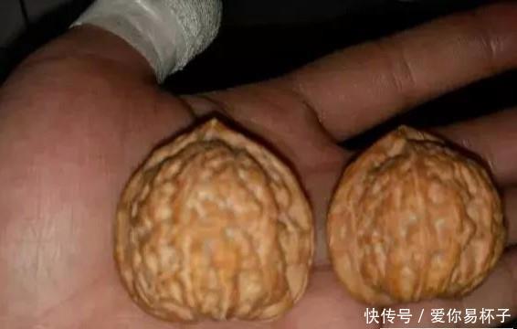  「椅子」大爷花10年“种椅子”，一把卖80000！这些文玩在家也能