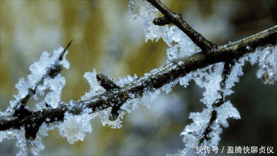 这部纪录片央视发力了，每一帧都可以当壁纸，BBC也无法超越