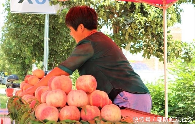  果实@农民种植一种果树，果实秋季成熟，20棵收入30000元！