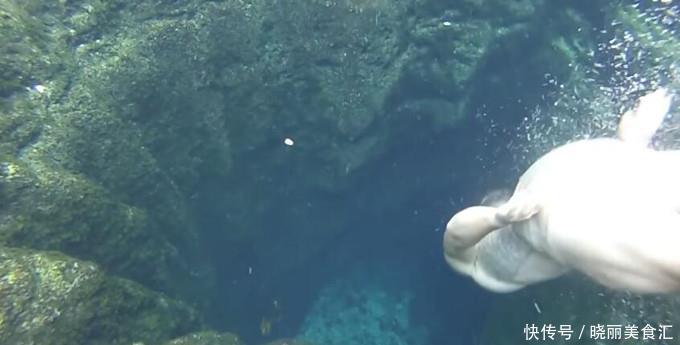 世界上最危险的深潭,夺走了8人性命,人们却还纷纷往下跳