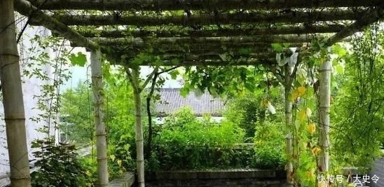  庭院|乡村的庭院，大家为什么这么喜欢
