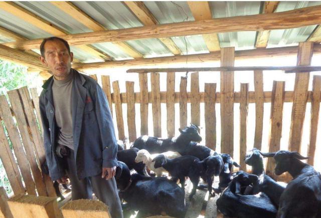 危言耸听！“禁养”文件已下发？伪专家：土地少的农民不要种地了