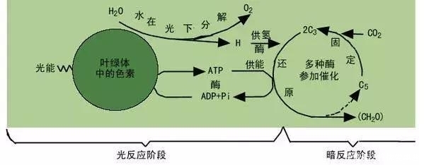 初秋，你不能错过的红叶美景