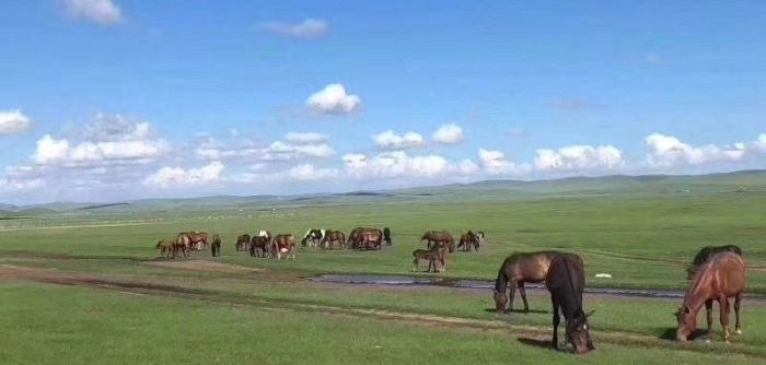  [不住]中国用几十年干掉一片千年沙漠，就连联合国也坐不住了：