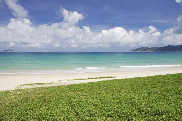 国内唯一环岛高铁：沿途美哭了！无敌海景惊艳世界，票价仅200！