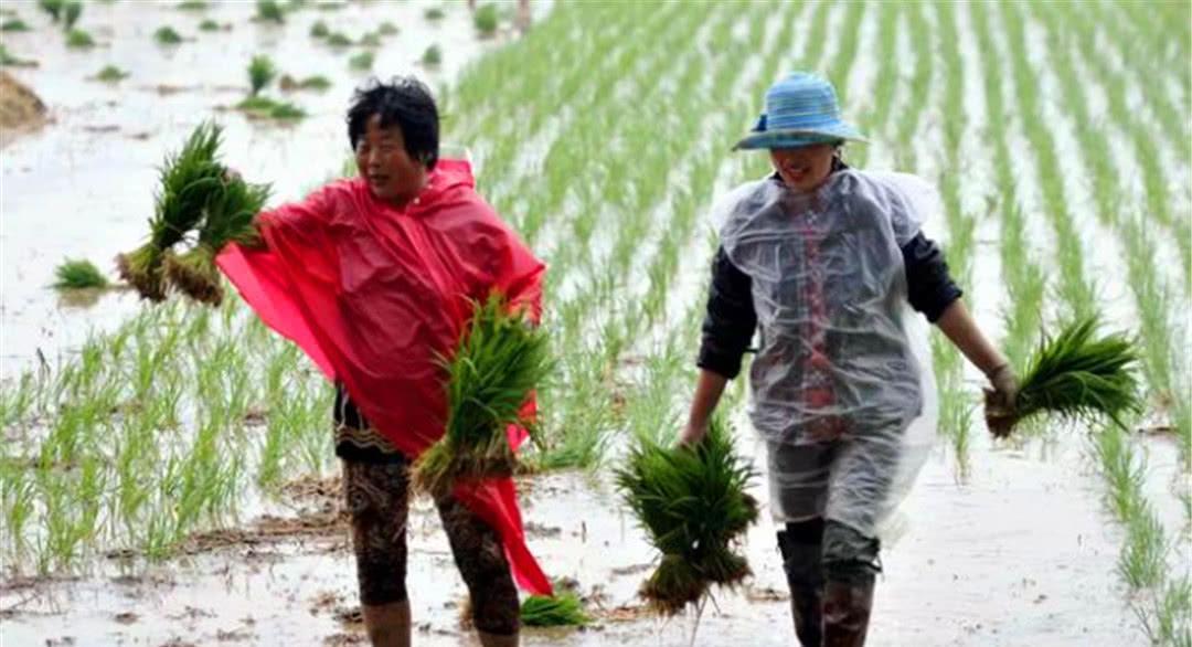 现在农民有50万存款的人多吗？知道以后自愧不如