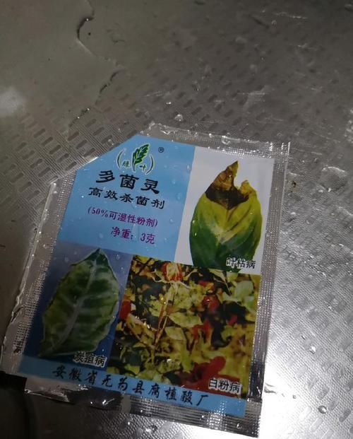  图解@兰花换盆没那么难，图解兰花小桃红的换盆过程，兰花换盆不求人