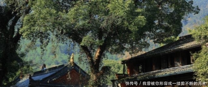 『差评』我国一个零差评的5a级景区,物价超低,吃饭2元住宿25元