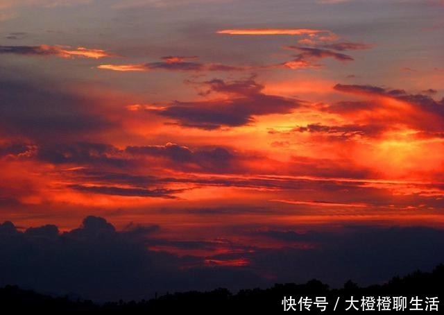  『作品』张爱玲说她只愿意与苏青相提并论，真正可比肩的才女其实是萧红