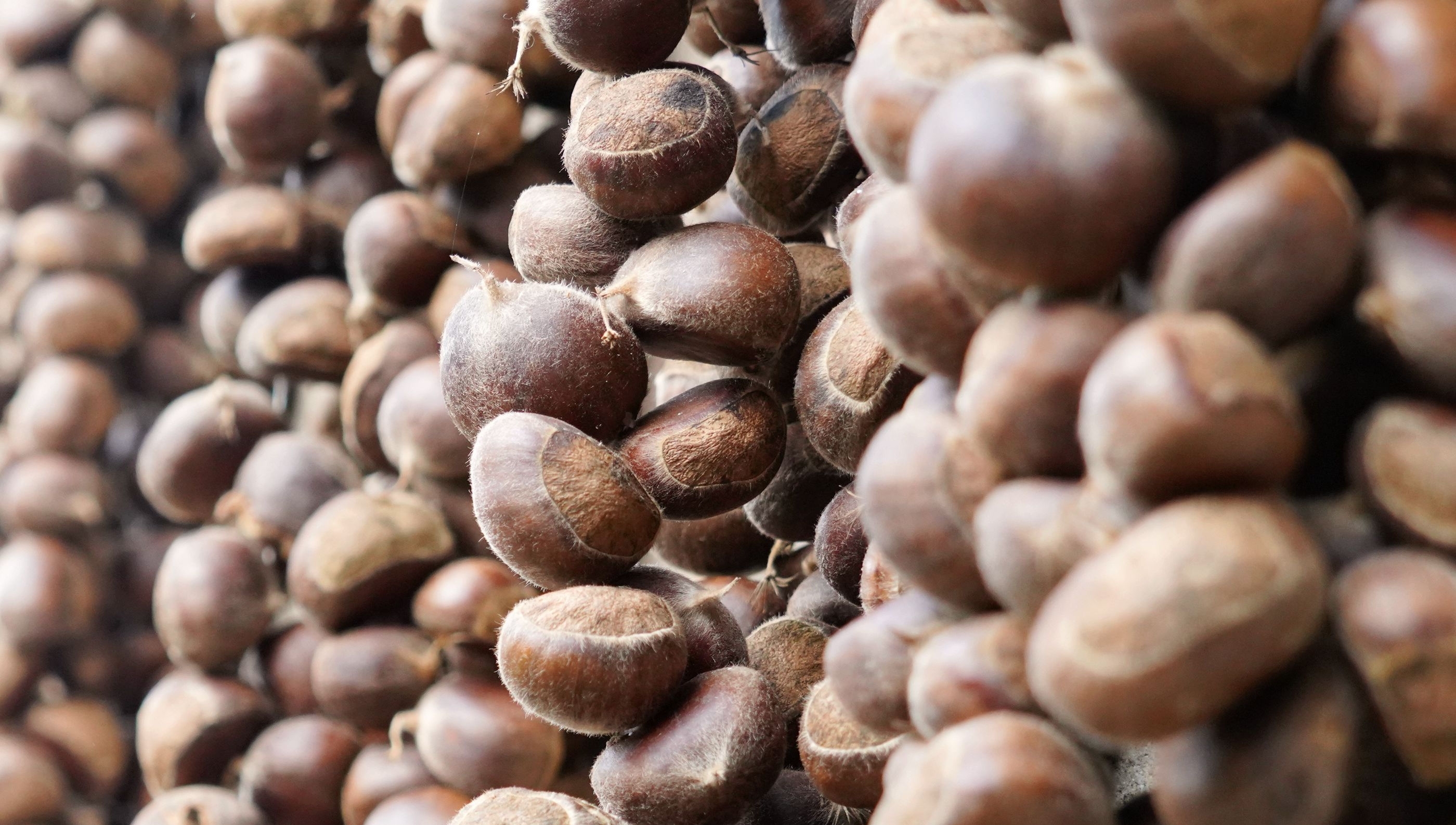  「山西」山西76岁农村老人，守着3间瓦房1条小溪不离开，咋回事