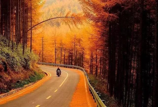 重庆这座不知名的小镇,竟藏着媲美川西的秋色