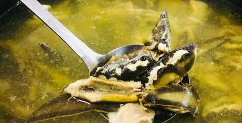  #稻田#在农村，刀鳅鱼以前多没人吃，现在少能卖到60元一斤