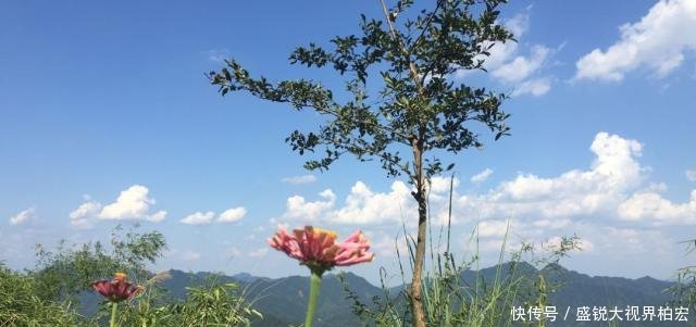 云台山踏秋——立秋后的那一抹姹紫嫣红