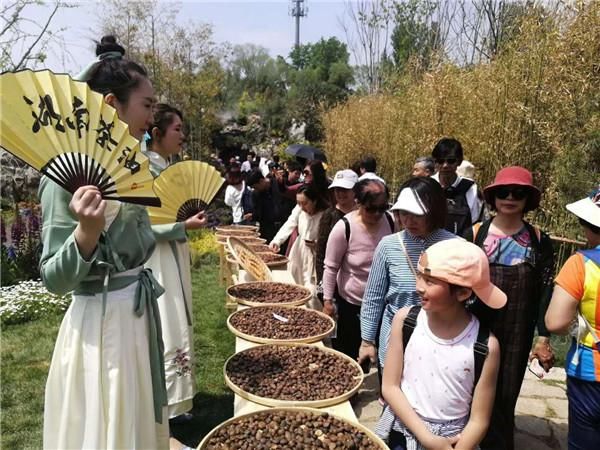 大三湘茶油惊艳亮相北京世园会！“世界茶油看湖南”成游客顺口溜