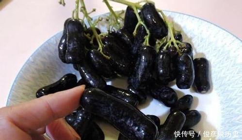  『盆栽』闲置阳台种上这个, 养眼好吃易管理, 盆栽一年即可挂果!