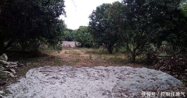 农村宅基地不能被继承，父母去世宅基地将被收回这几点要注意！