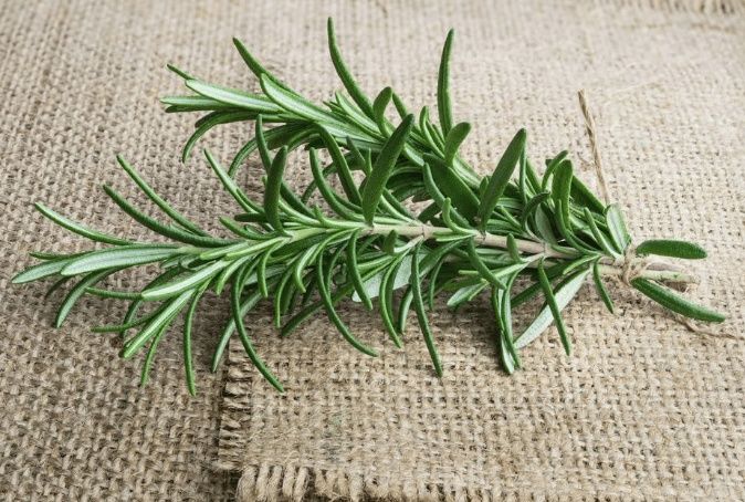 2种植物是“毛孔清道夫”, 坚持用半个月, 粗大毛孔, 痘痘不见了