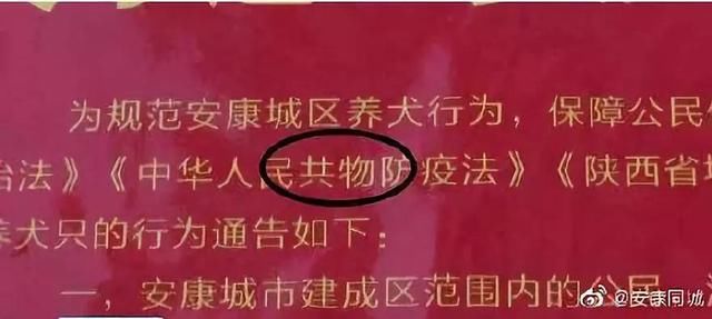  「责任人」安康一政府通告出现20处错别字！3名责任人被追责