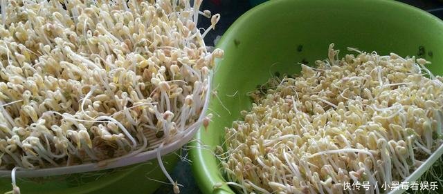  #酱油#炒豆芽，先放醋还是酱油厨师都不是，这样做入口清脆还下饭