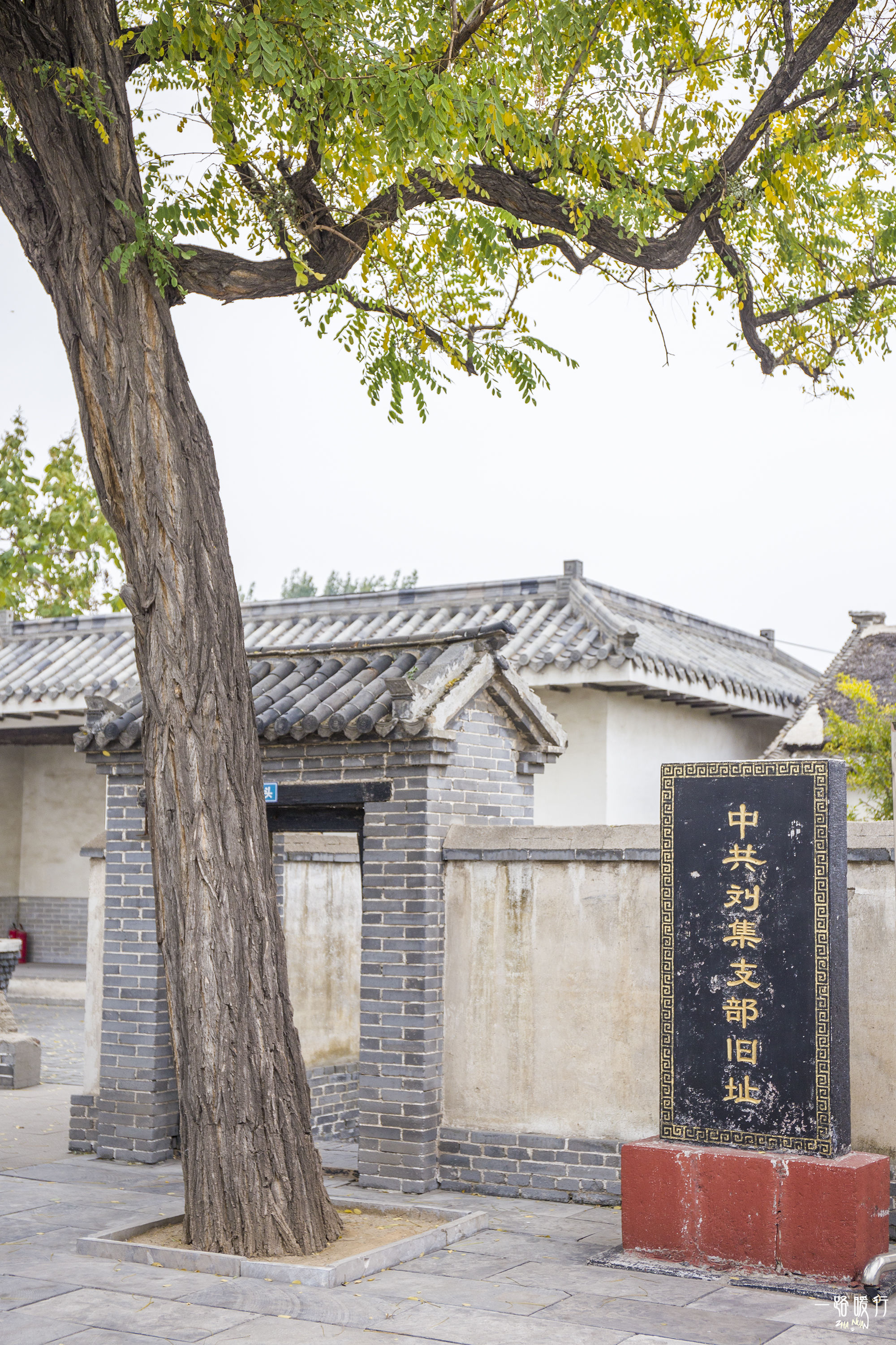 东营丨走过沧海桑田，终是在芦花飞雪的秋日遇见你