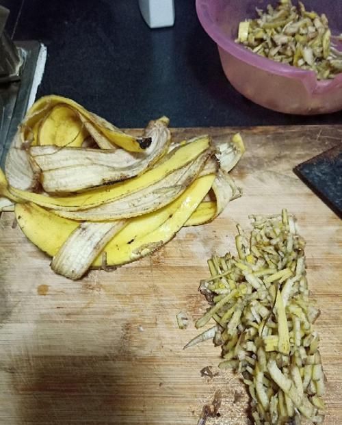  「抗冻」给花喂点抗冻肥，叶子又肥又绿，越长越有劲儿！