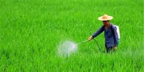  当心|在农村，这3种农民会被严查，轻则罚款，别不当心