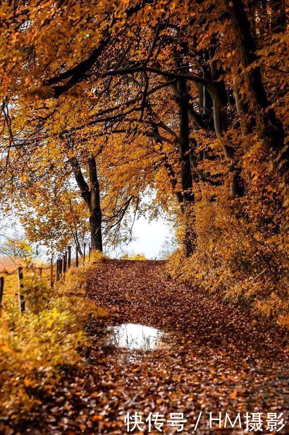 俄罗斯最美的秋天,如同一幅精美的画卷