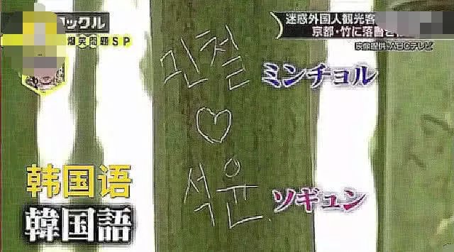 日本评2018最不文明游客排行榜,网友:还很受欢迎,有钱真香