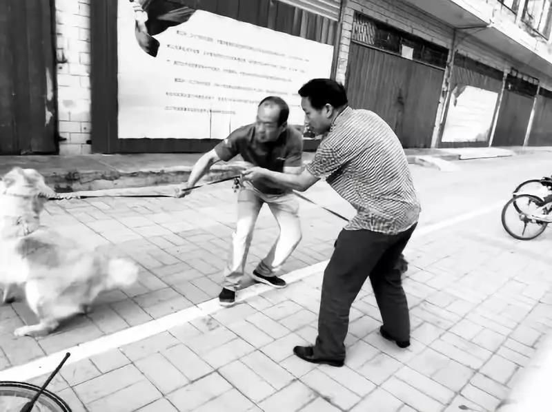 百万粉丝女网红遛狗不栓绳，还殴打8个月孕妇，真的好可怕!