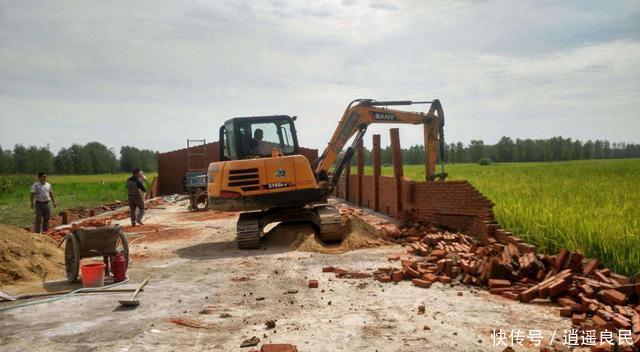  2020年|2020年，农村土地要合并？农民还可获每亩/60000补贴？你